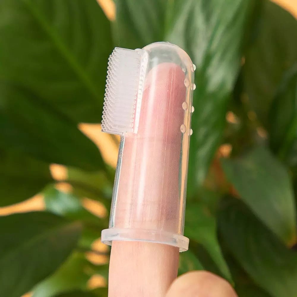 Baby Finger Toothbrush, Silicone Infant Tooth Brush, Baby Silicone Training Brush, Transparent Fingertip Tooth Cleaning Brush, Bad Breath Tartar Teeth Tool, Kids Baby Infant Soft Silicone Teeth Rubber Massager Baby Finger Toothbrush, Silicone Infant Tooth Brush, Baby Silicone Training Brush, Transparent Fingertip Tooth Cleaning Brush, Bad Breath Tartar Teeth Tool, Kids Baby Infant Soft Silicone Teeth Rubber Massager